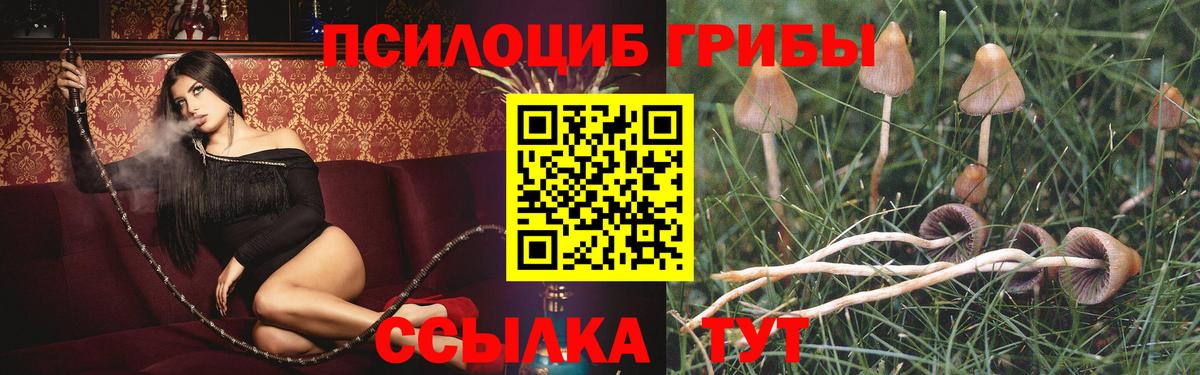 Псилоцибиновые грибы мухоморы  Галлюциногенные грибы Psilocybe  даркнет сайт  Вход с VPN  Анжеро-Судженск 